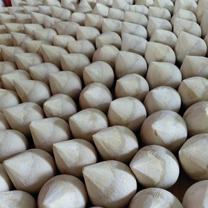 Coco Natural Premium de Vietnam con Almacenamiento en Frío para Envíos de Larga Distancia, Marca TINIMEX, Productos Agrícolas - Product Image 6