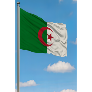 Drapeau d'Algérie d'extérieur à impression numérique, fanion avec mât en aluminium pour affichage automobile, assurance, éducation, en coton, polyester, soie - Product Image 3