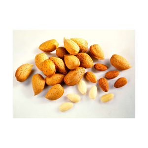 Almendras Amargas Secas Orgánicas de la Mejor Calidad, Origen Reino Unido, Grado Superior, Envasadas a Granel, Procesadas al Estilo Holandés, para la Dieta Diaria, Listas para Exportar - Product Image 2