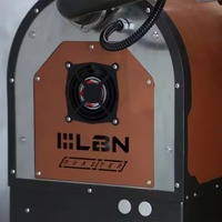 Machine à torréfier les grains de café industrielle automatique LBN, garantie 1 an, vente en gros au Vietnam