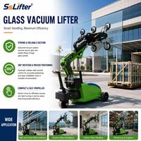 Lève-vitre électrique de 800 kg avec hauteur de levage de 5 m pour l'installation de murs-rideaux