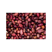 Haricots rouges de qualité supérieure provenant de thaïlande produits agricoles vente en gros légumes frais 10 Kg par Carton
