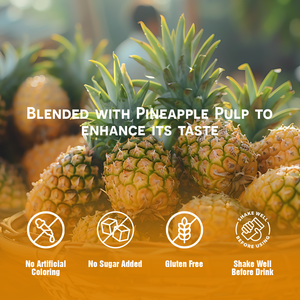 VINUT Bebida de jugo de piña con pulpa 490ml Variedad de sabores, sin azúcar, Etiqueta Privada, OEM/ODM, precio de fábrica, muestra gratis - Product Image 2