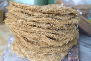 Musgo de mar irlandés puro salvaje a buen precio de Vietnam/Eucheuma Cottonii/Algas doradas al por mayor a granel empaquetado personalizado - Product Image 6