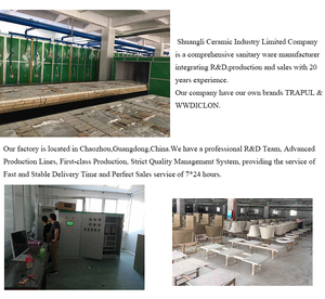 Trung Quốc trapul Hot Bán thiết bị vệ sinh phòng tắm gốm washdown nhà vệ sinh kép Flush hai mảnh nhà vệ sinh phong cách phổ biến thiết kế hiện đại - Product Image 6