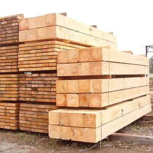 Madera Dimensional de Arce, Roble, Cedro y Pino, Madera Aserrada al por Mayor para Aplicaciones Estructurales, Tableros y Tablas de Madera - Product Image 4