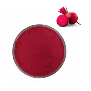 Suministro de fábrica 100% Extracto de remolacha roja natural puro a granel suplementos de polvo de jugo de raíz de remolacha roja polvo de remolacha roja seca - Product Image 2