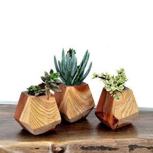 Macetas de madera creativas de pueblo, macetas de corteza de abeto para decoración de jardín para guardería doméstica o plantación de patio trasero - Product Image 5