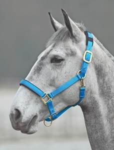 Vente en gros équitation licou Premium Nylon cheval Headstall produits équins cheval licou bride tête collier - Product Image 4