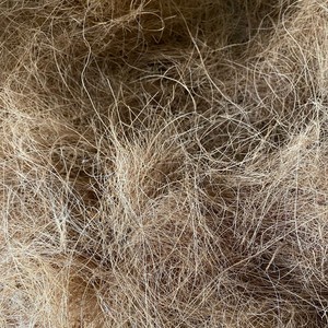 กาบมะพร้าวพร้อมวัตถุดิบ - Product Image 4