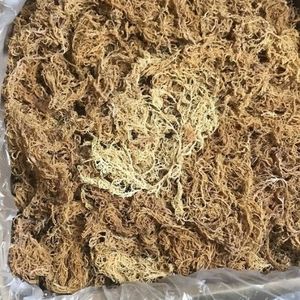 SOLUTIONS D'EMBALLAGE OEM EN SAC DE MOUSSE IRLANDAISE POUR VOS PRODUITS - Product Image 6