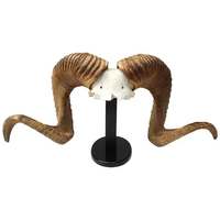 Corne de mouton et de chèvre polie de haute qualité, écologique, couleur naturelle, taille personnalisée, motif ange, durable, objet d'art pour poteau de laisse de chien, objet de collection