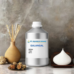 Huile Essentielle de Galangal 100% Pure 5kg Parfum Épicé Chaleureux Vente en Gros Fournisseur Direct Fabricant Vietnamien OEM Marque Privée - Product Image 1