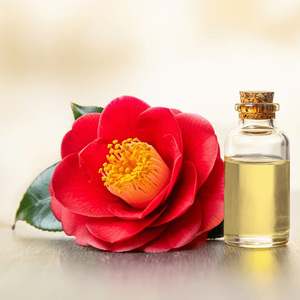 Usine certifiée biologique Nature Supply Pure Original Camellia Japonica Seed Oil pour les soins de la peau - Product Image 6