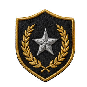 Écussons brodés de qualité supérieure pour uniformes, insignes de régiment, écussons en fil métallique, emblèmes personnalisés, accessoires vestimentaires, tissus pour chapeaux - Product Image 1