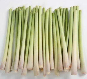 การจัดหาตะไคร้จากเวียดนาม: การสั่งซื้อจำนวนมากที่ปรับแต่งสดหรือแช่แข็ง - Product Image 4