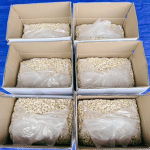 Noix de cajou prêtes à être expédiées W180 W240 W320 Noyaux de noix SANTIGO Délai de livraison court Noix de cajou en gros - Product Image 1