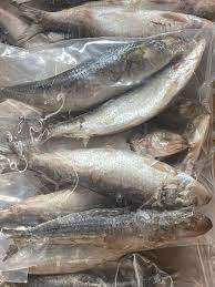 Sardines congelées entières à bas prix, en vente - Product Image 2