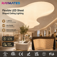 Lámina LED de Alta Calidad Personalizada UL, SMD2835 15W, Panel LED Cortable, 450 LED, Lámina de Retroiluminación LED Flexible para Techo Suspendido