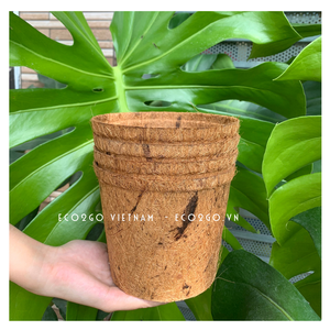 Meilleure vente 100% Pots en fibre de coco biologique Eco2Go Pot de fleur en coco au design personnalisé du Viet Nam pour le jardin - Product Image 2