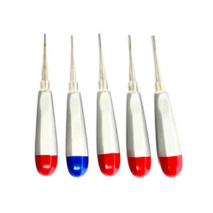 ชุดลิฟต์หรูหรา6ชิ้นปลายตรง0.75มม. 1มม. 1.5มม. 2มม. 3มม. เครื่องมือเย็บแผลทำฟันสแตนเลสชุดเครื่องมือแพทย์ - Product Image 1