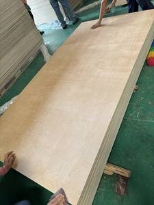 Contrachapado Fenólico Grado DD de Venta Caliente de Fábrica Vietnamita con Chapa de Abedul para Muebles y Construcción - Product Image 3