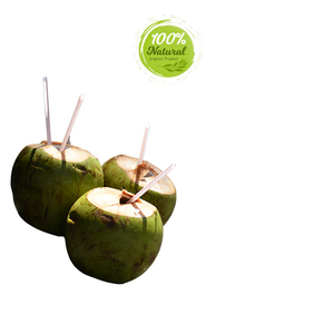 Le goût ultime de la noix de coco fraîche du Vietnam - Product Image 5