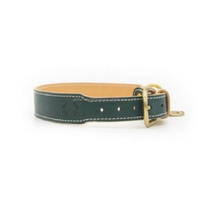 Collier pour chien en cuir pleine fleur sur mesure, couleur verte, surpiqûres contrastées, avec boucle finition laiton, anneau en D et rivets