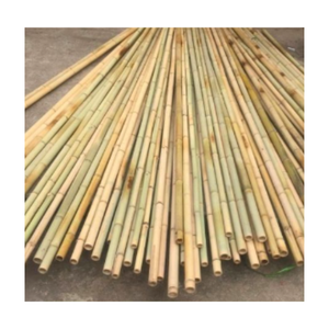 Palo de bambú de Vietnam de longitud personalizada para uso agrícola en jardín, palo de bambú tratado para soporte al aire libre, proveedor mayorista - Product Image 4