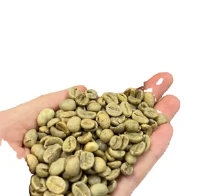 越南天然屏幕16湿抛光罗布斯塔咖啡豆准备发货 + 84 326055616