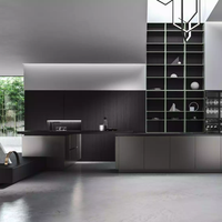Kabinet Dapur Logam Premium Terbuat dari Baja Tahan Karat 304 dengan Lapisan Kaca Lacquer dan Finishing Batu untuk Proyek Vila dan Komersial