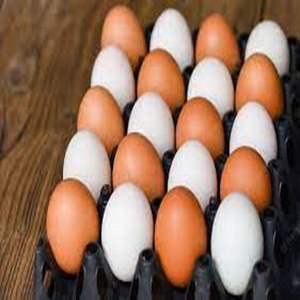 Œufs de poule blancs et bruns disponibles à bas prix - Product Image 6