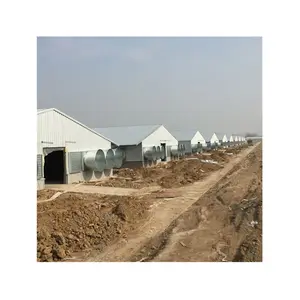 Sanhe Good Price Prefabricated Breeding Steel Structure Chicken Poultry House