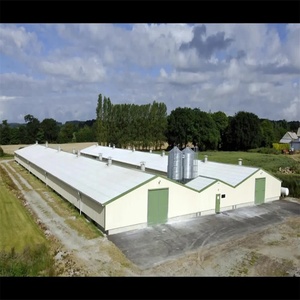 Structure de élevage de volaille commerciale en acier, caisses à volaille et abri de repos - Product Image 6