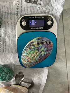 Venta al por mayor de concha de abulón de Nueva Zelanda pulida y sin pulir 11-15 cm para quemar salvia - Product Image 2