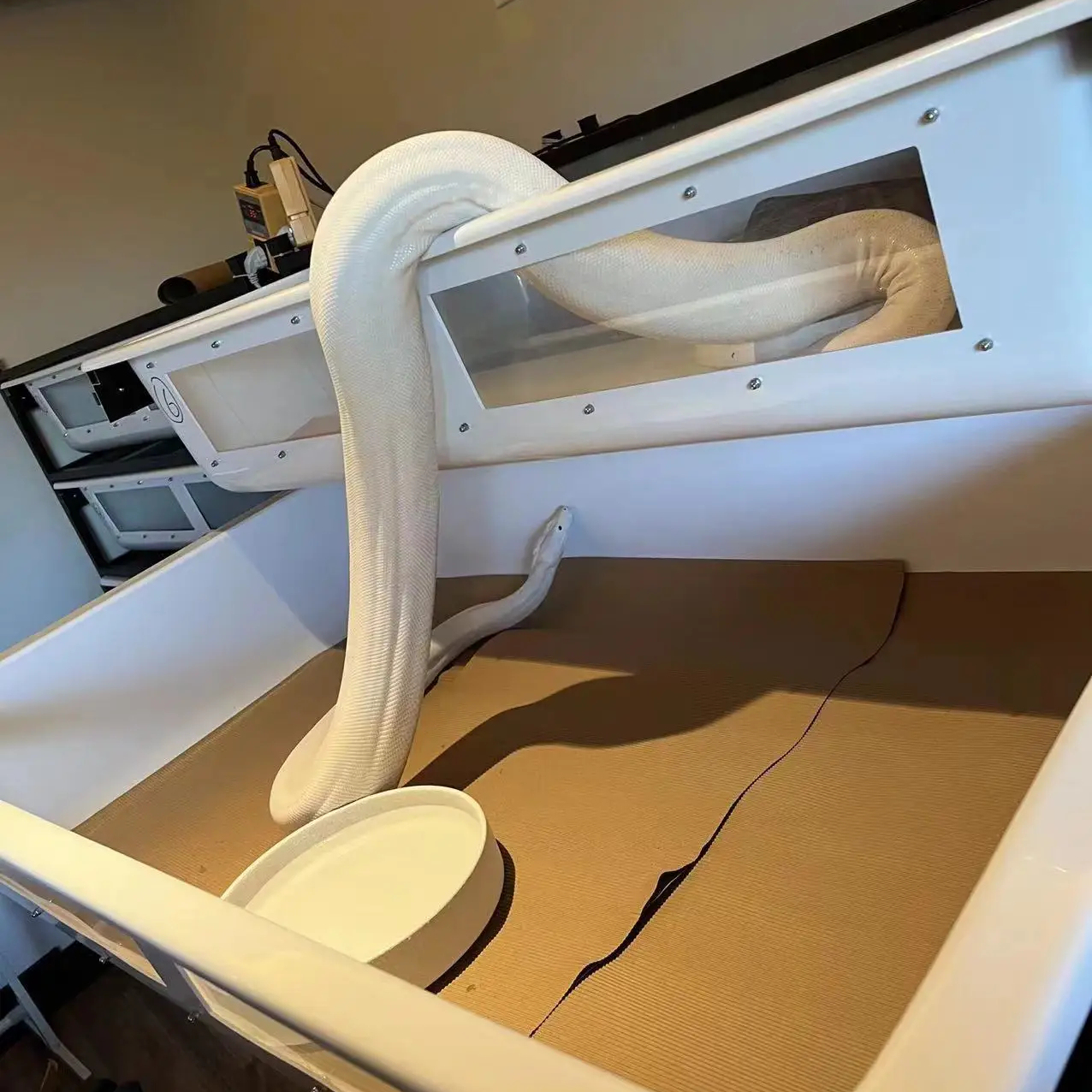 Plastic-Snake-Tub-Rack-Reptile