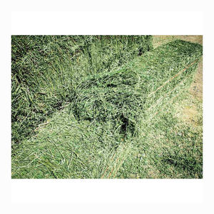 Pellets et balles de foin d'alfalfa, riches en protéines, pour l'alimentation des chevaux et des porcs, de haute qualité, origine américaine, emballés en sacs - Product Image 3