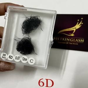 Extensions de cils 3D 0,07 12 mm faites à la main 3D-8D CC/DD/L/M Curl Cheveux synthétiques en éventail lâche Base pointue Haute qualité Noir naturel - Product Image 4