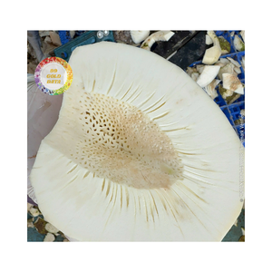 เขียงหั่นขนมปังแช่แข็งคุณภาพสูงจากเวียดนามผู้ผลิตสำหรับการอบขนมและส่งออกในอุตสาหกรรมอาหาร - Product Image 5