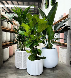 Suministros de jardín Plantas de jardín Nuevas macetas y jardineras de jardín superiores Macetas vietnamitas ligeras hechas a mano Macetas para flores - Product Image 5