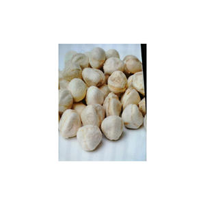 Grains de moringa de haute qualité disponibles en grande quantité pour les marchés d'exportation - Product Image 6