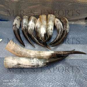 2024 Nuevo diseño Cuernos de buey Cuernos de beber vikingos Decoraciones de animales de vidrio pulido seguras para alimentos Fabricante indio M R S EXPORTS - Product Image 2