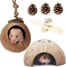 บ้านกะลามะพร้าวสำหรับสัตว์เลี้ยง/นกแก้ว/จิ้งจก/หนูแฮมสเตอร์สถานที่ซ่อนเร้นสำหรับสัตว์เลี้ยงจากเวียดนาม - Product Image 4