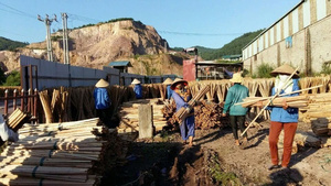 Balais de vadrouille en bois enduit de PVC, 120x2.2cm, eucalyptus, haute résistance, durable - Product Image 2