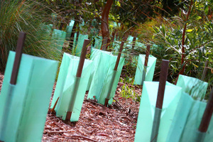 Vietnamese Corrugated <b>Plastic</b> Rolls Effective for Plant Care PP Material Agriculture Products - Product Image 5