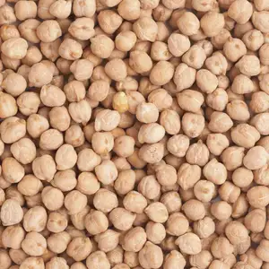 Ervilhas a granel qualidade de exportação 12 mm Kabuli chana Ervilha indiana de melhor qualidade
