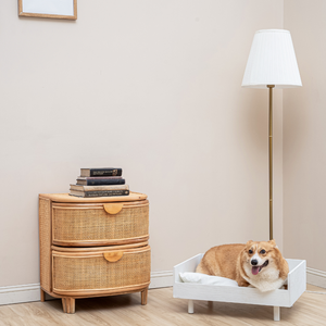 Gabinete de ratán de madera ecológico de alta calidad, estilo de granja para cocina, hogar, oficina o apartamento de Vietnam - Product Image 2