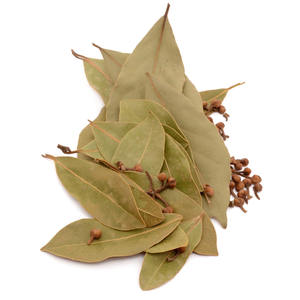 Premium KC ENTERPRISES Hojas de Laurel secas de la mejor calidad con 24 meses de vida útil de Meerut India para recetas modernas tradicionales - Product Image 1