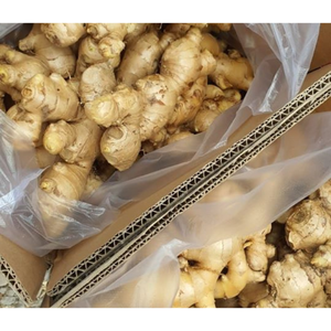 Gingembre frais de haute qualité avec un arôme puissant à peau lisse et une saveur naturelle adaptée à l'exportation et à l'approvisionnement en gros - Product Image 3