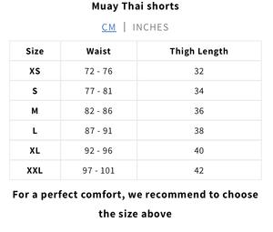 Shorts de Muay Thai et de Boxe MMA Unisexe avec Logo Personnalisé 100% Polyester Léger et Durable pour les Arts Martiaux - Product Image 3